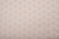 Вышивка Арт. JTC-6090 #beige(25/1)