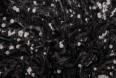 Пайетки Арт. JTC-6020 #black(25/1)