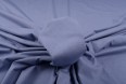 Трикотажное полотно Арт. MAJR1231 #BLUE/23/2/ANB